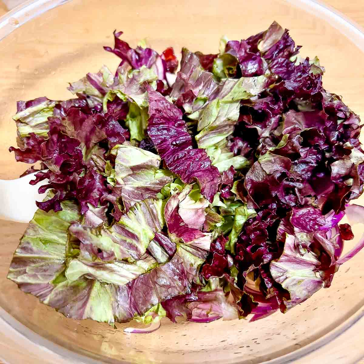 Greens in a salad bowl.